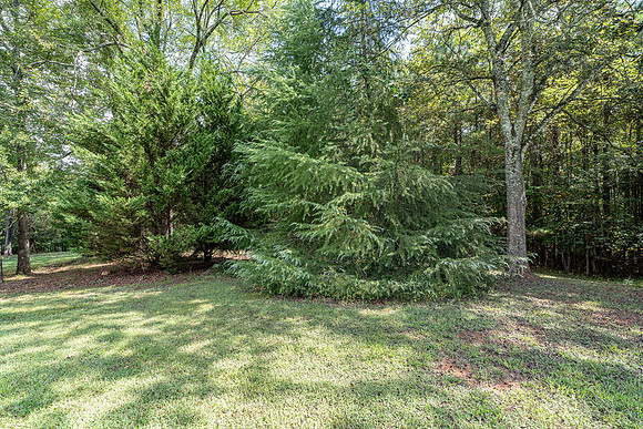 5 Larkwood-33