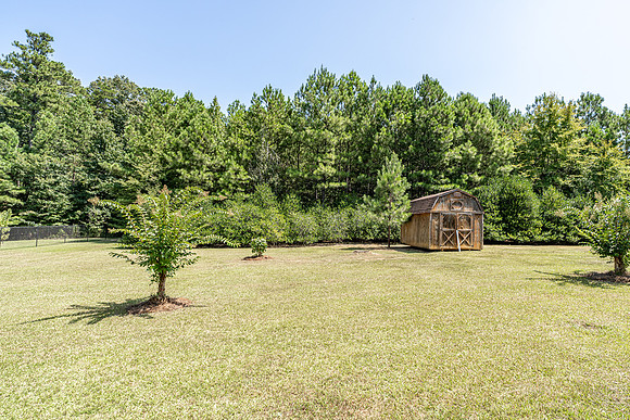 858 Ward Mountain-11