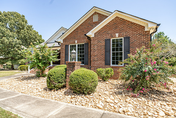 858 Ward Mountain-13