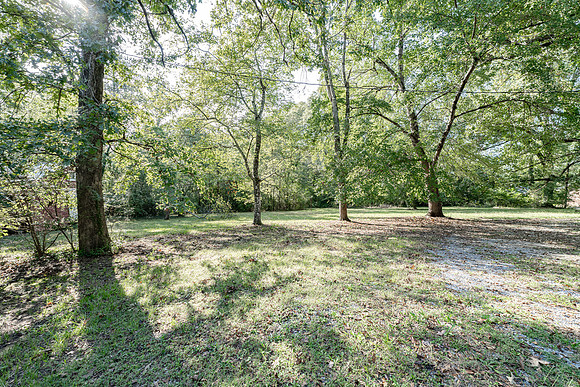 643 Old Summerville-8