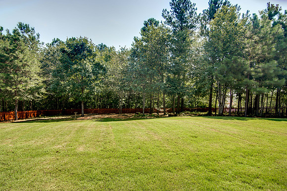 4 Fallen Branch Circle-5