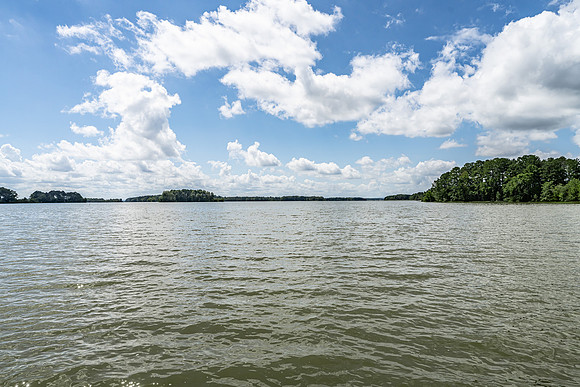 1590 County Road 136 SG-4