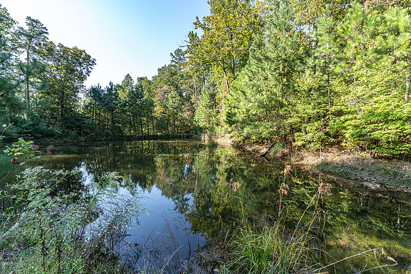 255 Firetower-4