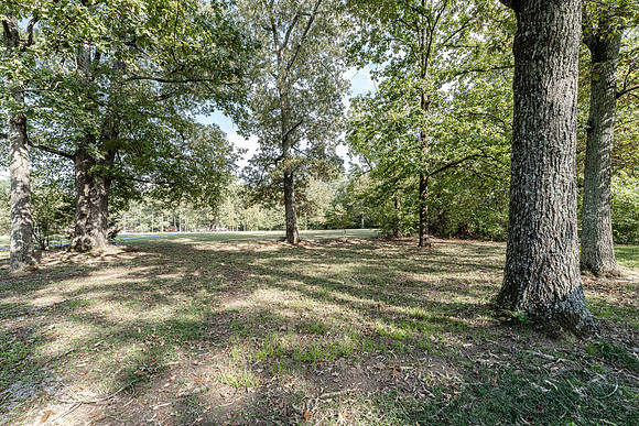643 Old Summerville-14