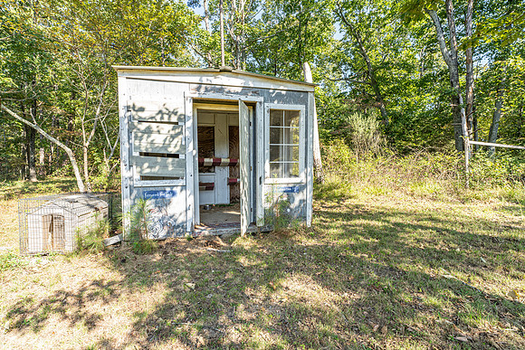255 Firetower-9