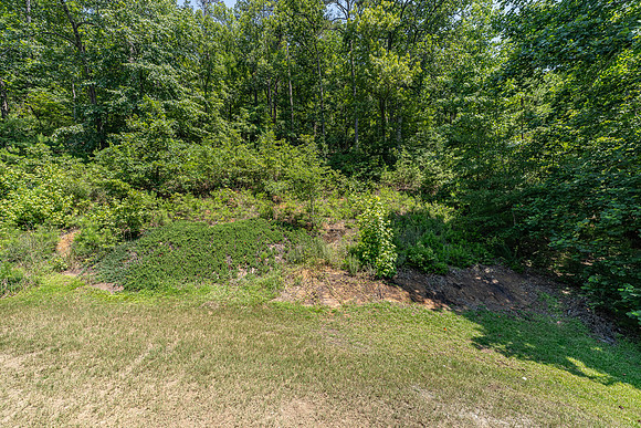 20 Pine Valley-52