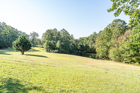 255 Firetower-7
